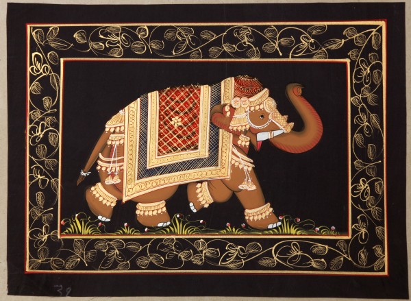 Elephant7